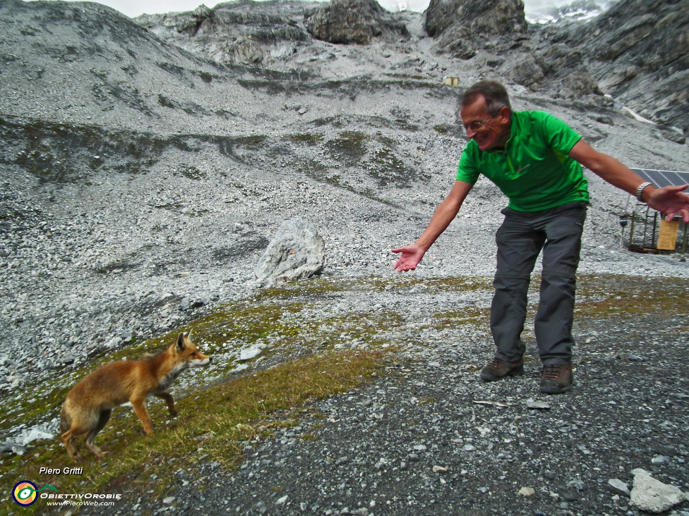 03 La volpe del Quinto Alpini.JPG